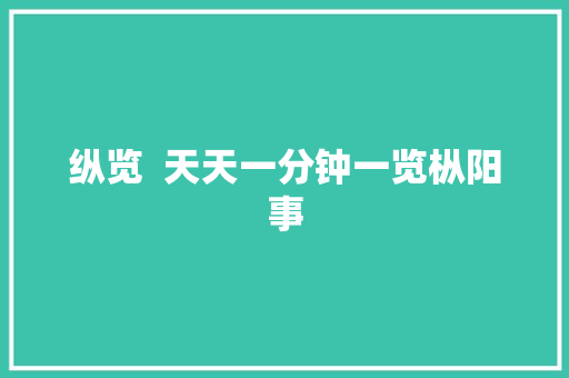 纵览  天天一分钟一览枞阳事