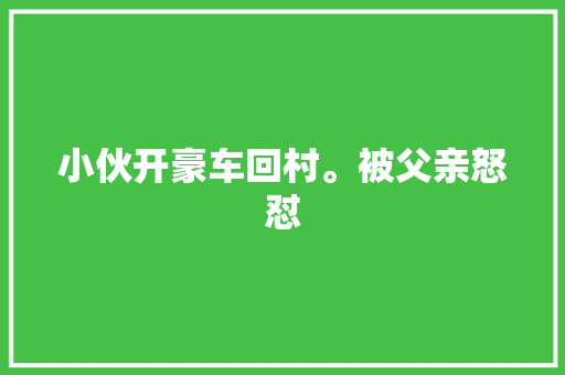 小伙开豪车回村。被父亲怒怼