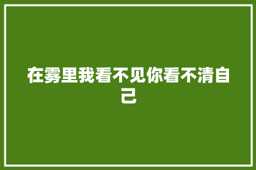 在雾里我看不见你看不清自己