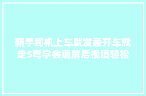 新手司机上车就发蒙开车就走S弯学会调解后视镜轻松解决