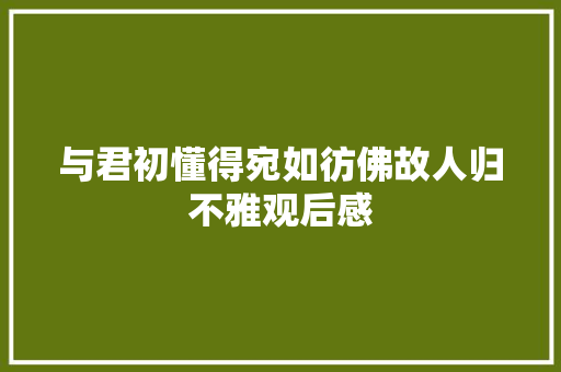 与君初懂得宛如彷佛故人归不雅观后感