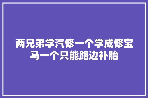 两兄弟学汽修一个学成修宝马一个只能路边补胎