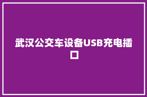 武汉公交车设备USB充电插口