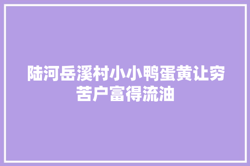 陆河岳溪村小小鸭蛋黄让穷苦户富得流油