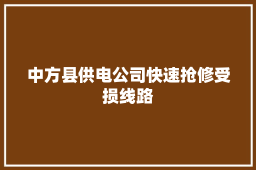 中方县供电公司快速抢修受损线路