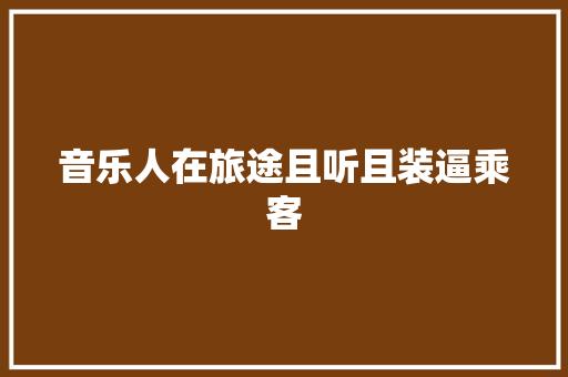 音乐人在旅途且听且装逼乘客