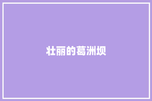壮丽的葛洲坝