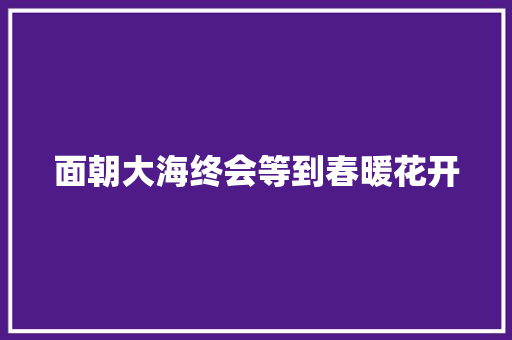 面朝大海终会等到春暖花开