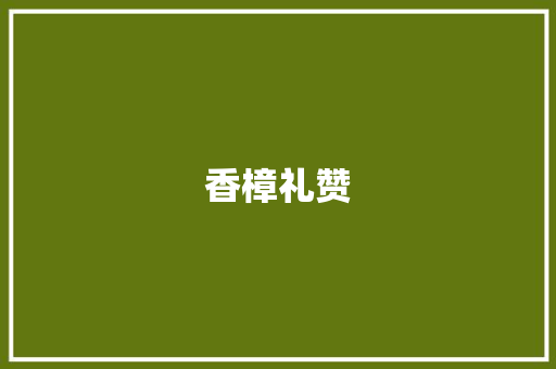 香樟礼赞