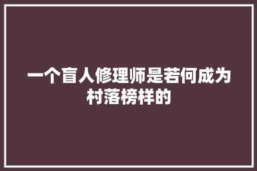 一个盲人修理师是若何成为村落榜样的