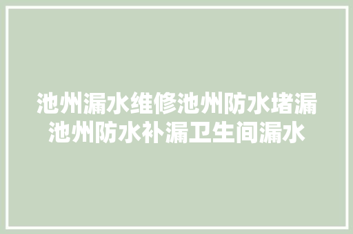 池州漏水维修池州防水堵漏池州防水补漏卫生间漏水