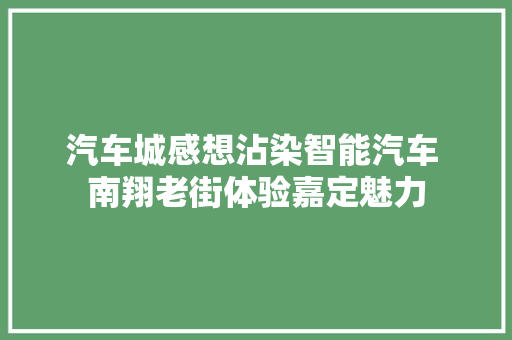 汽车城感想沾染智能汽车 南翔老街体验嘉定魅力