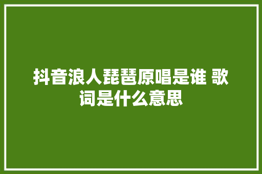 抖音浪人琵琶原唱是谁 歌词是什么意思
