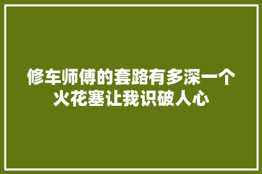 修车师傅的套路有多深一个火花塞让我识破人心