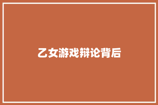 乙女游戏辩论背后