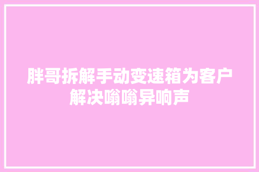 胖哥拆解手动变速箱为客户解决嗡嗡异响声