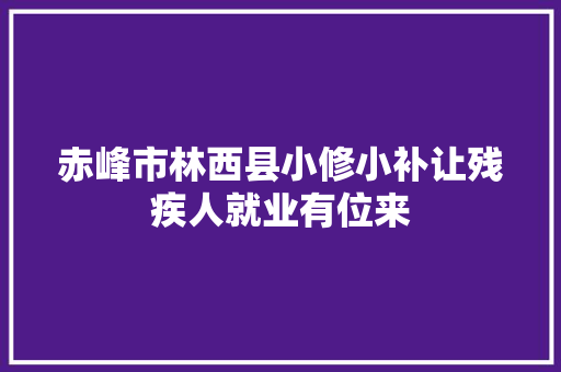 赤峰市林西县小修小补让残疾人就业有位来