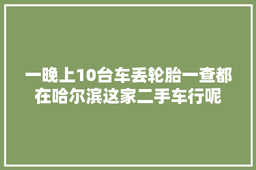 一晚上10台车丢轮胎一查都在哈尔滨这家二手车行呢