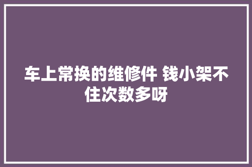 车上常换的维修件 钱小架不住次数多呀