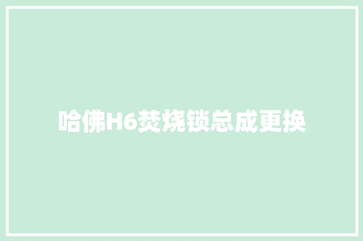 哈佛H6焚烧锁总成更换
