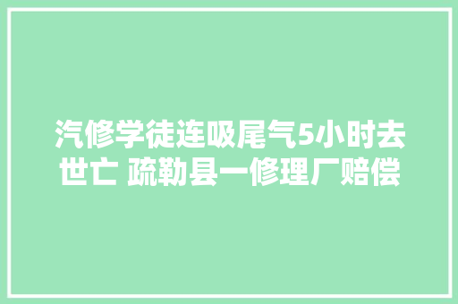 汽修学徒连吸尾气5小时去世亡 疏勒县一修理厂赔偿近23万