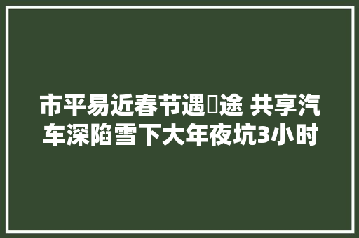 市平易近春节遇囧途 共享汽车深陷雪下大年夜坑3小时