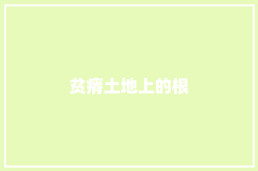 贫瘠土地上的根