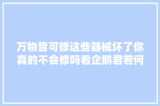 万物皆可修这些器械坏了你真的不会修吗看企鹅君若何省米