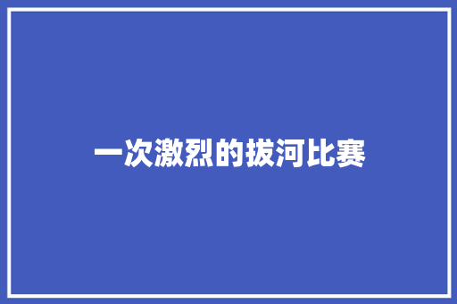 一次激烈的拔河比赛