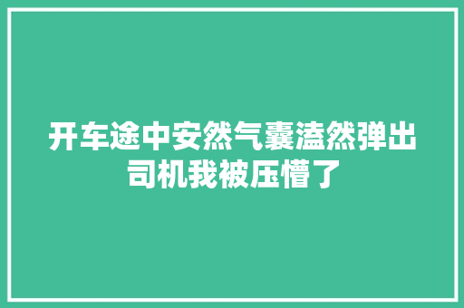 开车途中安然气囊溘然弹出司机我被压懵了
