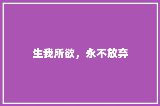 生我所欲，永不放弃