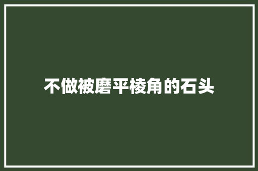 不做被磨平棱角的石头