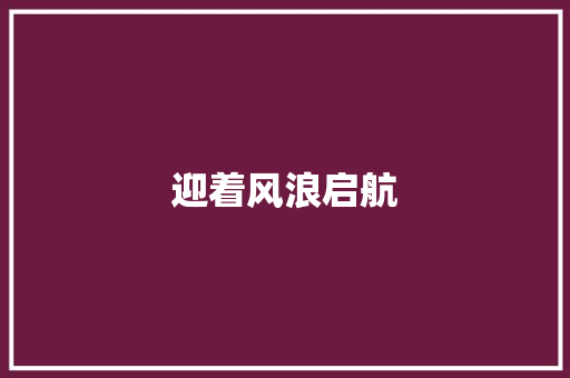 迎着风浪启航
