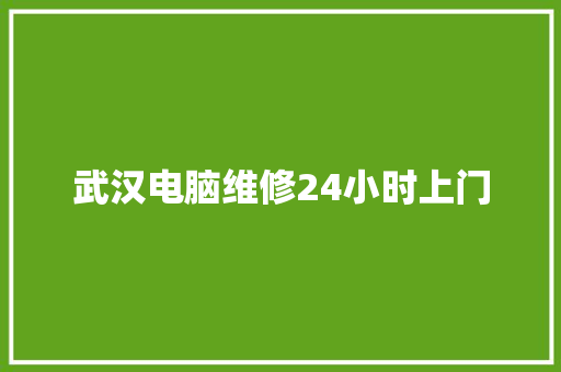 武汉电脑维修24小时上门