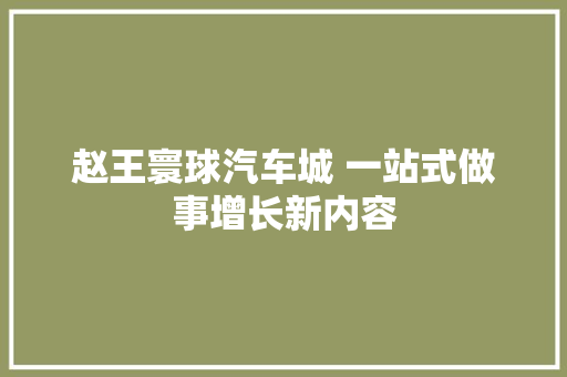 赵王寰球汽车城 一站式做事增长新内容