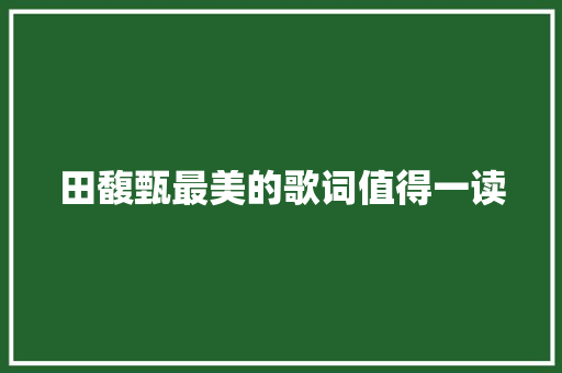 田馥甄最美的歌词值得一读