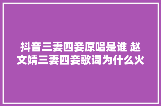 抖音三妻四妾原唱是谁 赵文婧三妻四妾歌词为什么火了