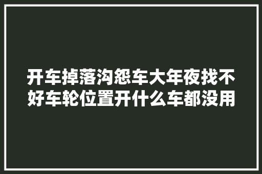 开车掉落沟怨车大年夜找不好车轮位置开什么车都没用