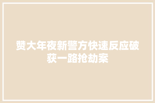 赞大年夜新警方快速反应破获一路抢劫案
