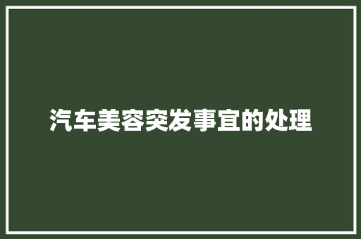 汽车美容突发事宜的处理