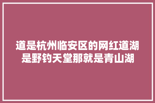 道是杭州临安区的网红道湖是野钓天堂那就是青山湖