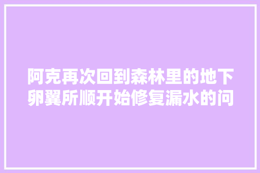阿克再次回到森林里的地下卵翼所顺开始修复漏水的问题