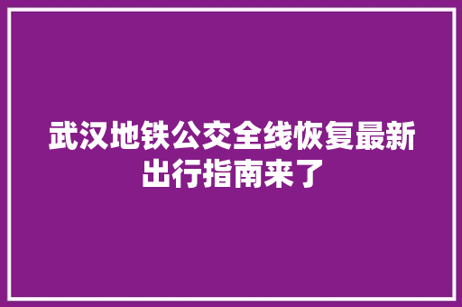 武汉地铁公交全线恢复最新出行指南来了