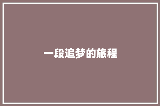 一段追梦的旅程