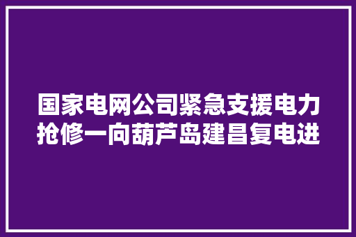 国家电网公司紧急支援电力抢修一向葫芦岛建昌复电进行中