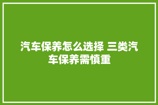 汽车保养怎么选择 三类汽车保养需慎重