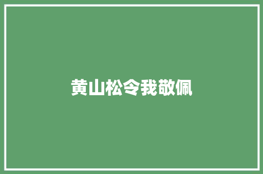 黄山松令我敬佩