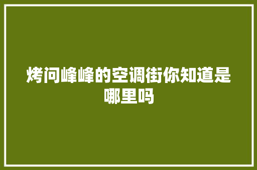 烤问峰峰的空调街你知道是哪里吗