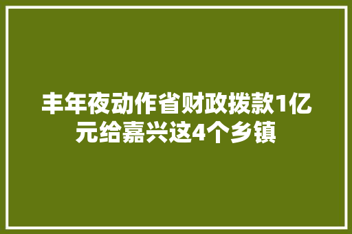 丰年夜动作省财政拨款1亿元给嘉兴这4个乡镇 汽车知识