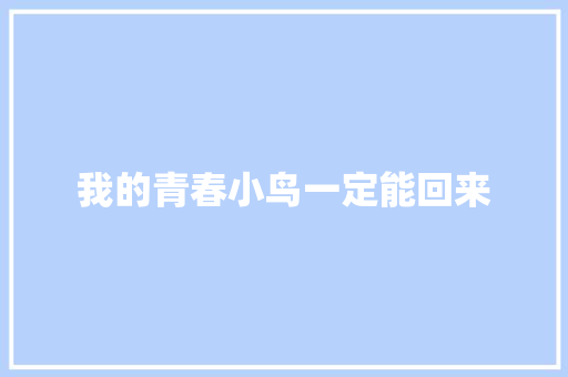 我的青春小鸟一定能回来 休闲娱乐